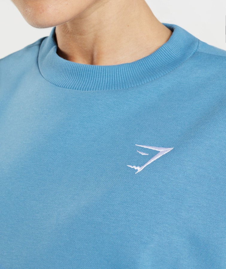 Gymshark Træning Oversized Sweatshirt Kystblå