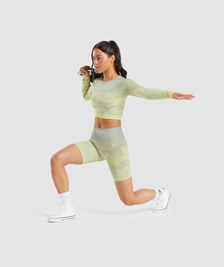 Gymshark Triangle-taupe Grå Adapt Ombre Sømløse Shorts