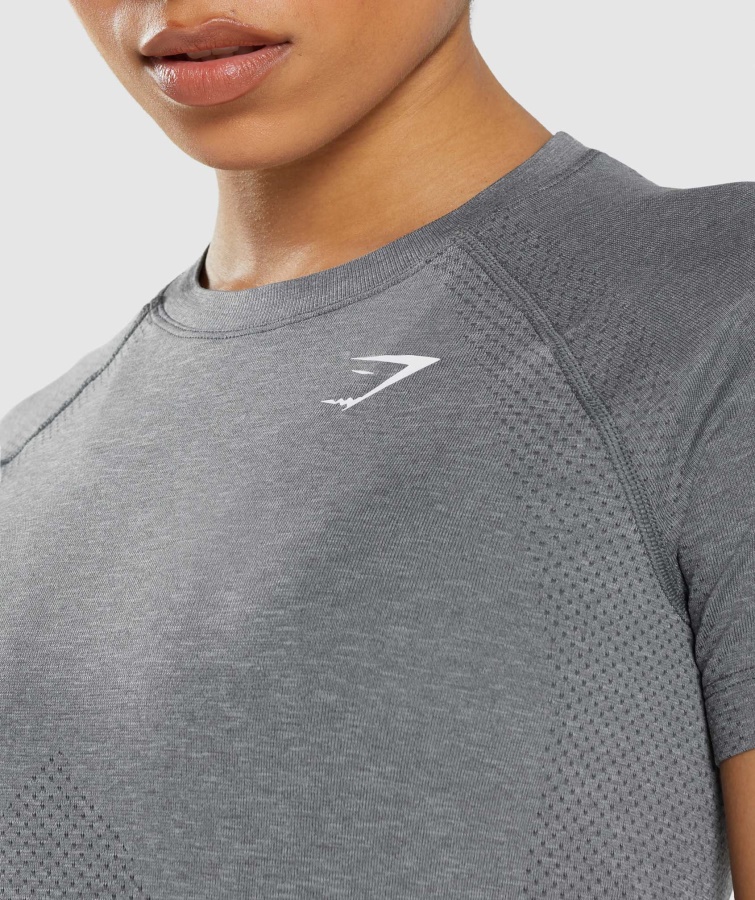 Gymshark Vital Seamless 2.0 Lys T-shirt Smokey Grey Mergel