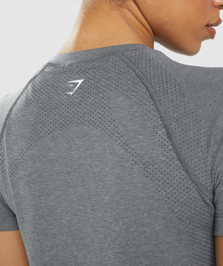 Gymshark Vital Seamless 2.0 Lys T-shirt Smokey Grey Mergel