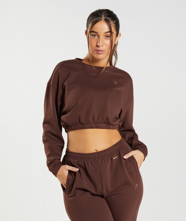 Gymshark Whitney Cropped Pullover Genoptændes Brun