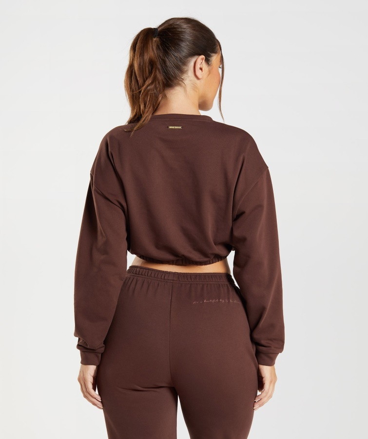 Gymshark Whitney Cropped Pullover Genoptændes Brun