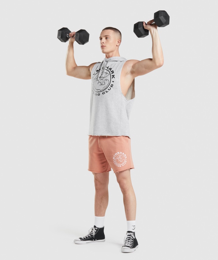 Legacy Drop Arm Hættetrøje Lys Grå Core Marl Gymshark