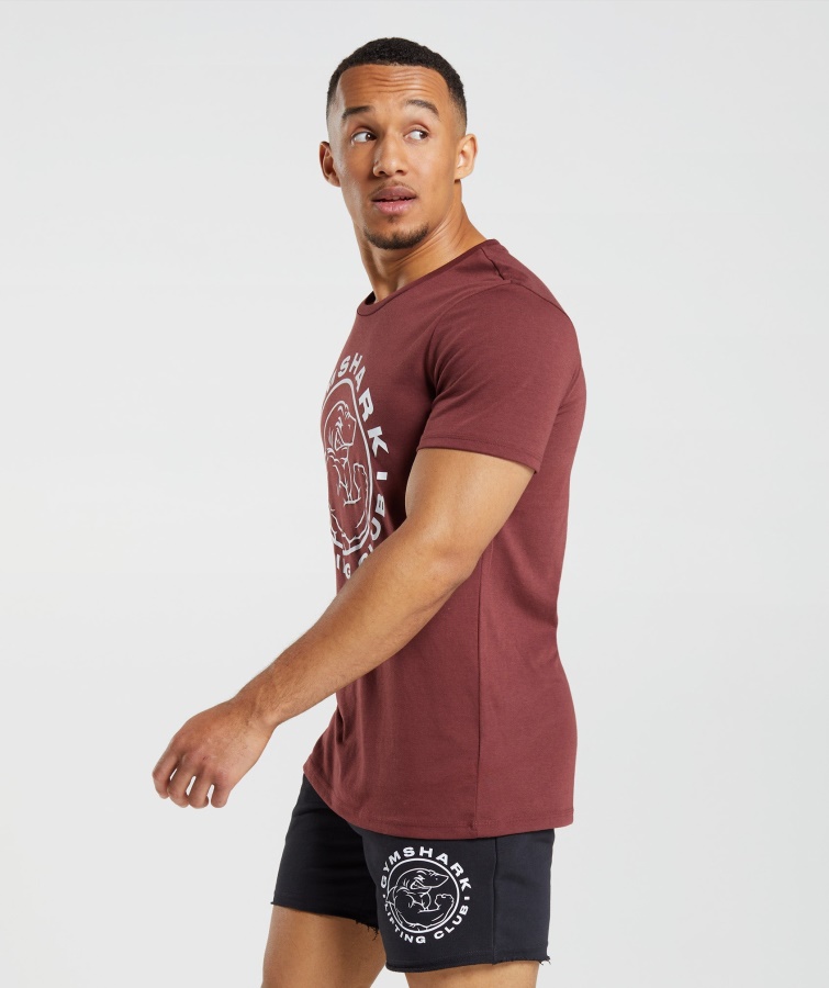 ældre T-shirt Kirsebærbrun Gymshark