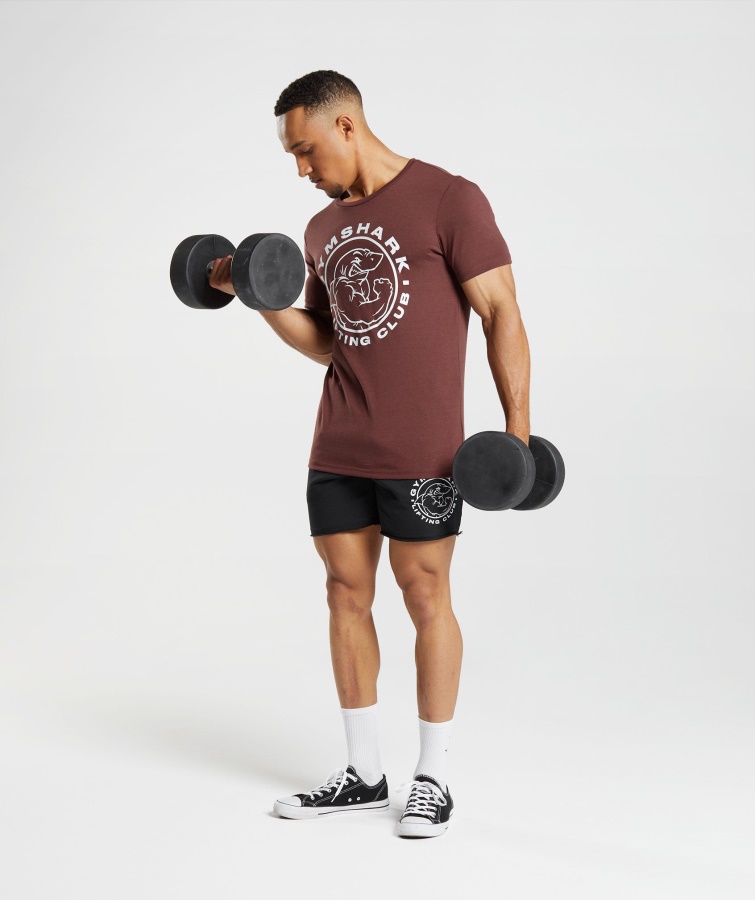 ældre T-shirt Kirsebærbrun Gymshark