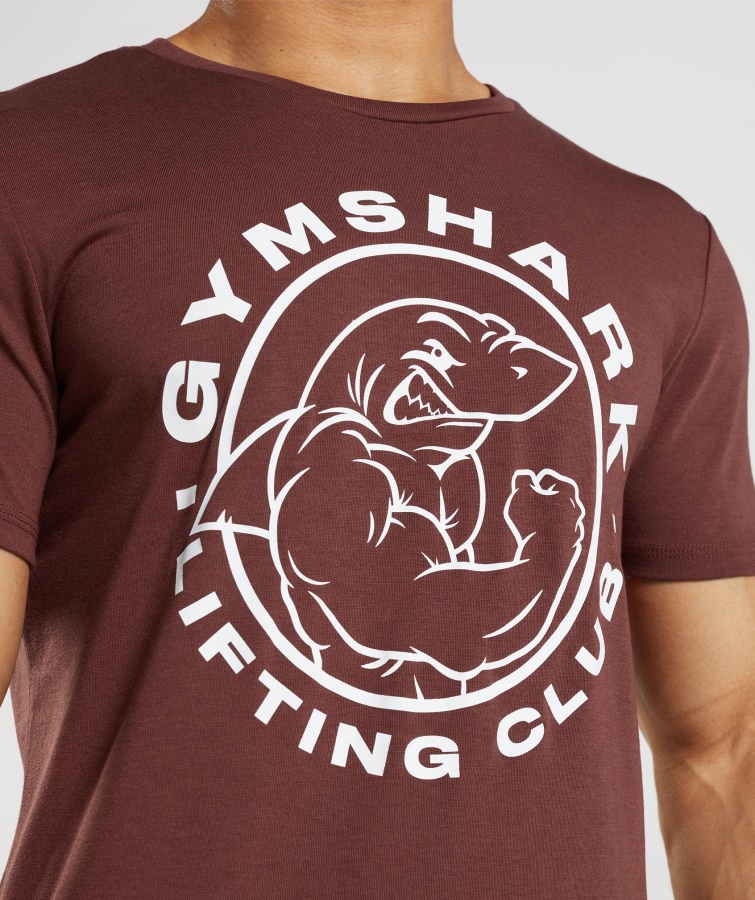 ældre T-shirt Kirsebærbrun Gymshark