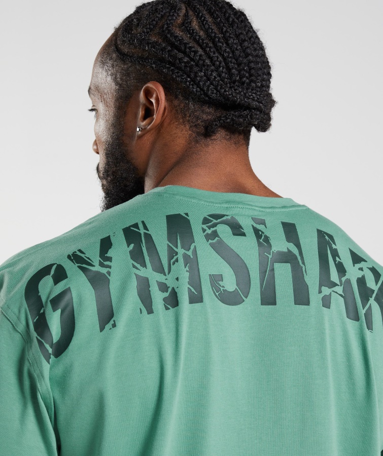 Power T-shirt Alpine Green Gymshark