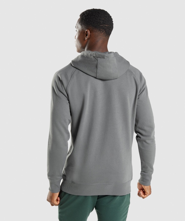 Sharkhead Infill Hættetrøje Charcoal Gymshark