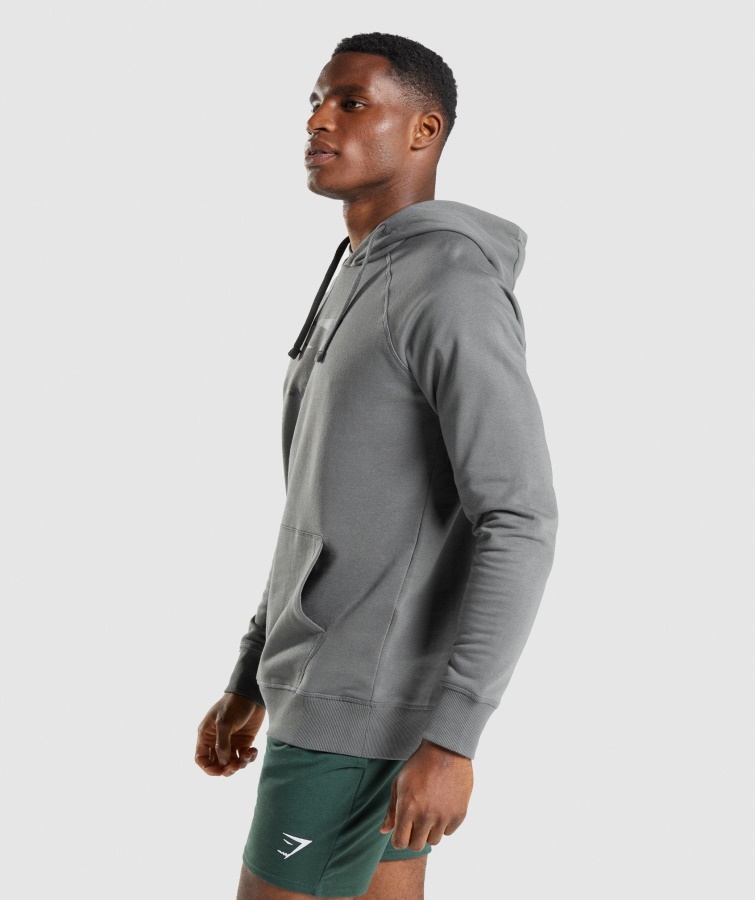 Sharkhead Infill Hættetrøje Charcoal Gymshark