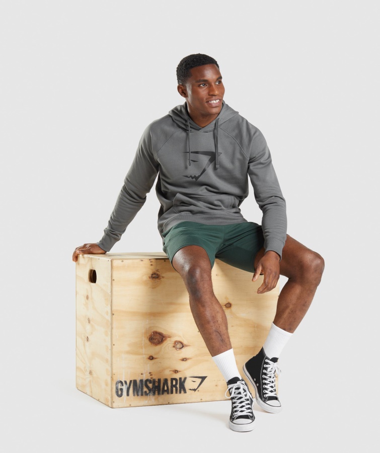 Sharkhead Infill Hættetrøje Charcoal Gymshark