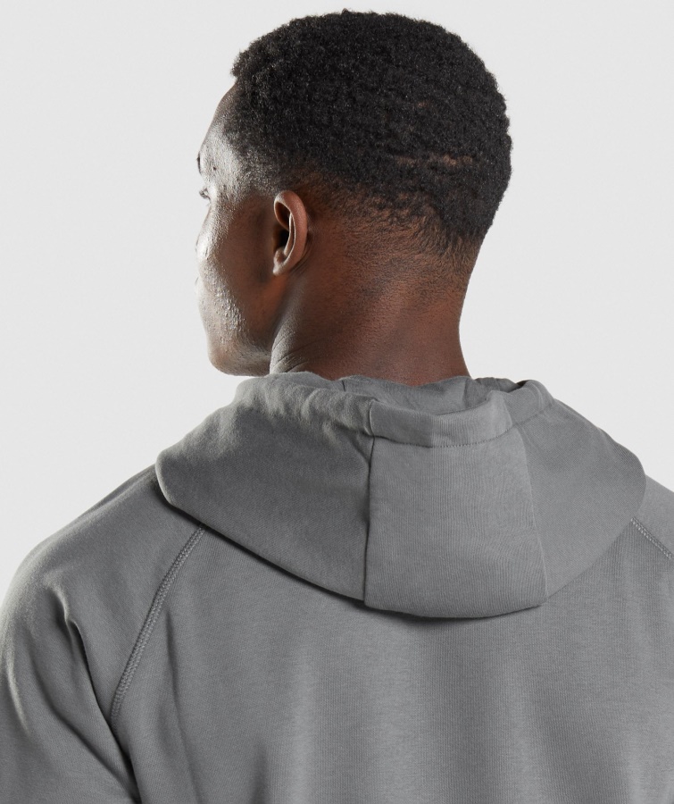 Sharkhead Infill Hættetrøje Charcoal Gymshark