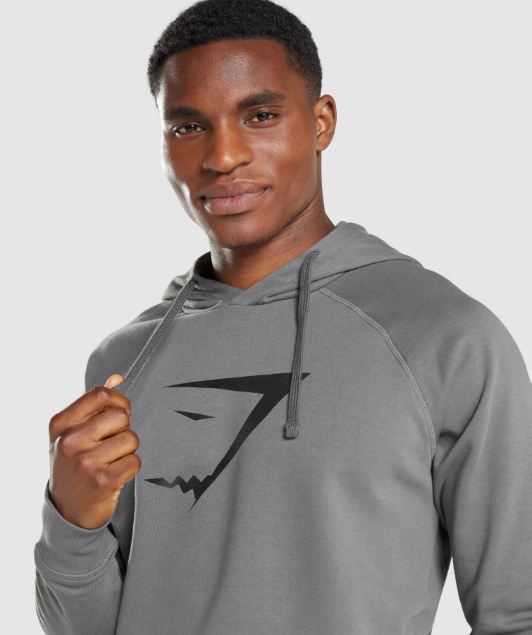 Sharkhead Infill Hættetrøje Charcoal Gymshark