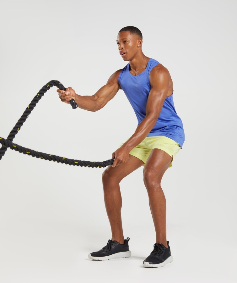 Sport Stripe Tank Domstol Blå Gymshark