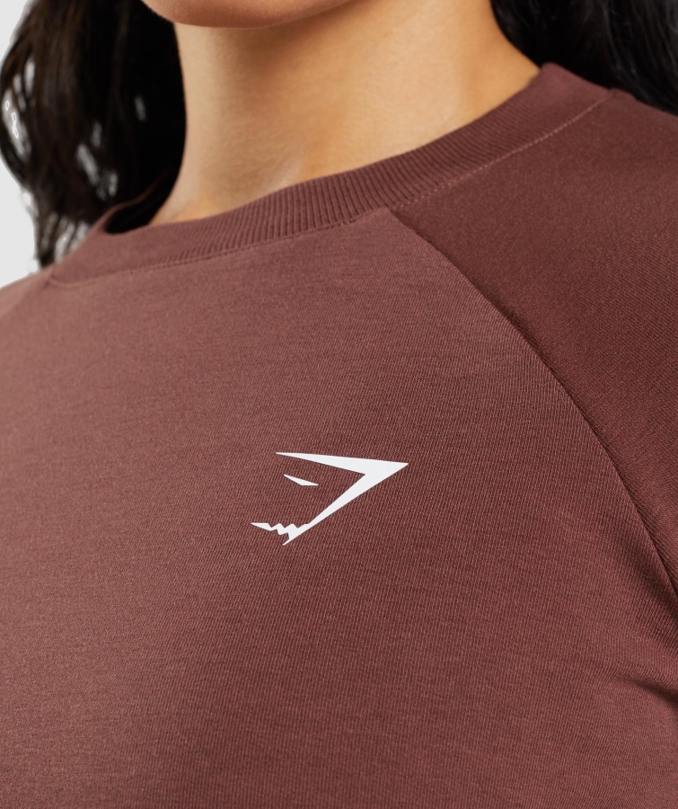 Træning Beskåret Sweater Kirsebærbrun Gymshark